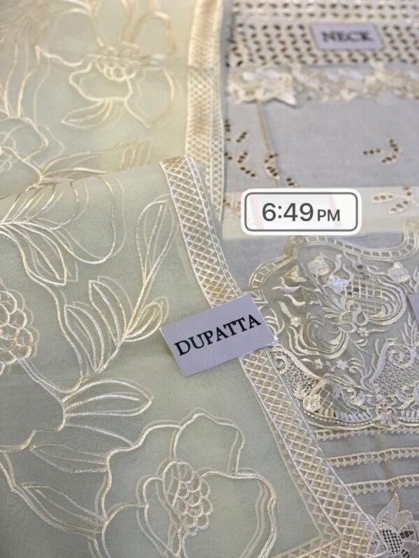 AZURE EXCLUSIVE - Chiffon - Image 2